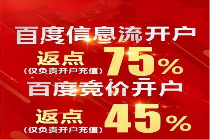 百度推广实战案例：成功之路